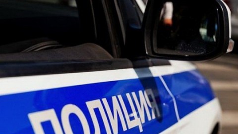 В Первомайском районе полицейские раскрыли незаконную рубку берез